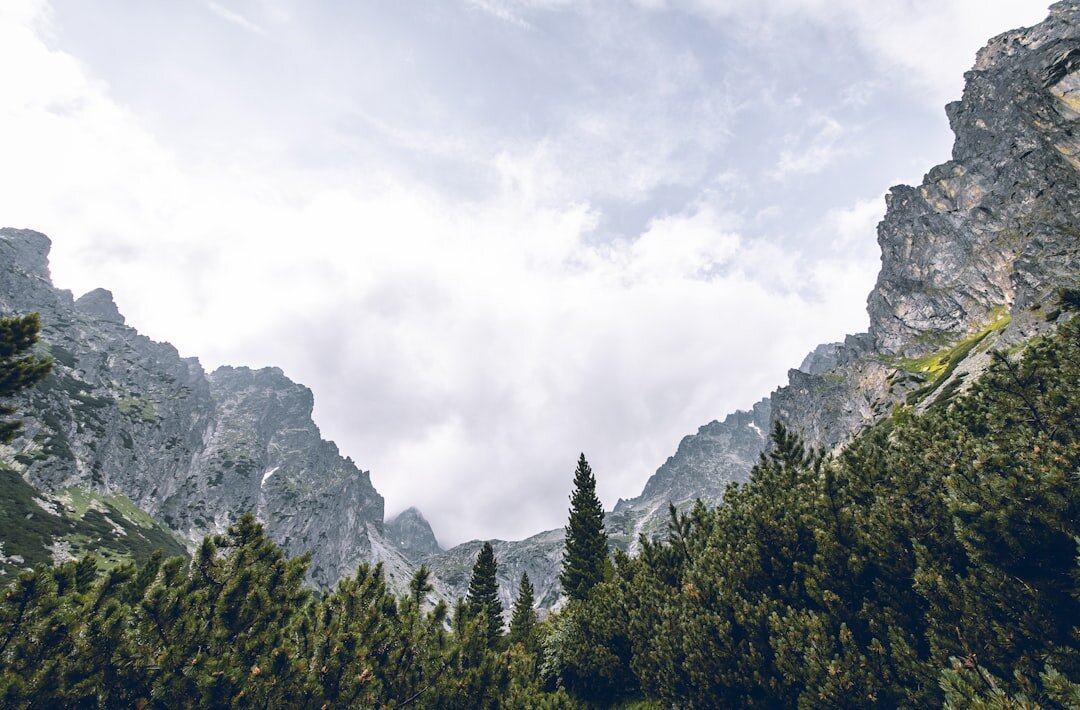 seniors hiking in slovak mountains