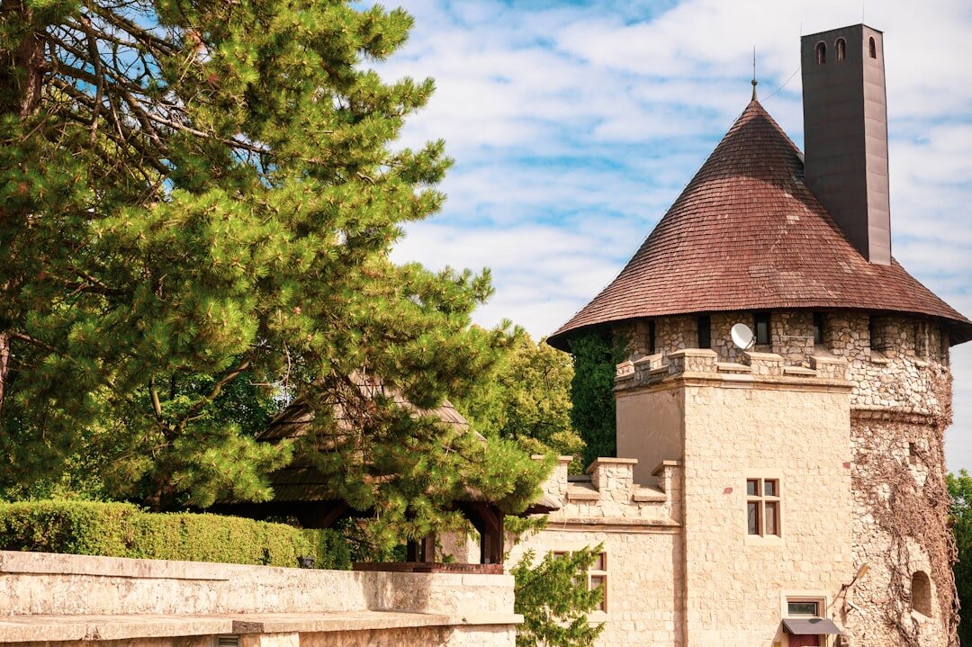 Group of seniors on an excursion in front of a Slovak castle